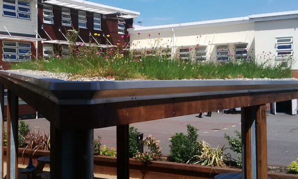 Green Roof Canopies for Schools