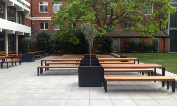 Wooden Tables and Benches