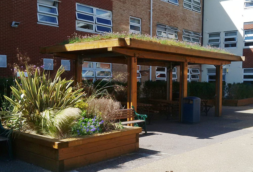 Green Roof Timber Canopy