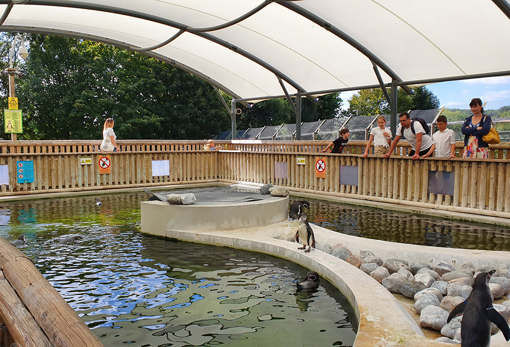 Wingham Wildlife Park Penguin Canopy Streetspace