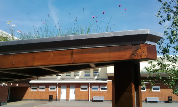 Greenroof Structure