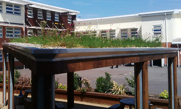 Sedum/Wildflower Green Roof Canopy